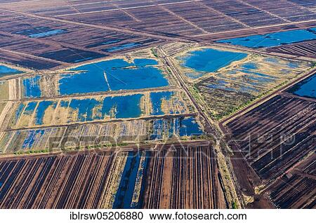 Stock Image - Goldenstedter Moor, Vechta County, Lower Saxony, Germany, Europe. Fotosearch