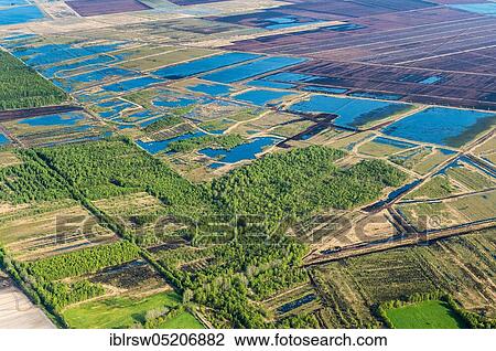 Goldenstedter Moor, Vechta County, Lower Saxony, Germany, Europe View Large Photo Image Stock Image - Goldenstedter Moor, Vechta County, Lower Saxony, Germany, Europe. Fotosearch