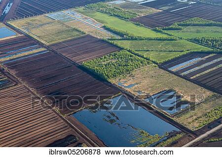 Stock Photo - Goldenstedter Moor, Vechta County, Lower Saxony, Germany, Europe. Fotosearch