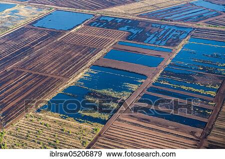 Stock Photo - Goldenstedter Moor, Vechta County, Lower Saxony, Germany, Europe. Fotosearch