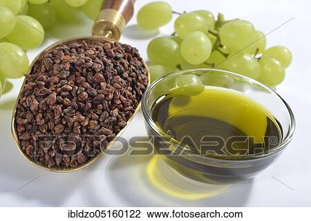 Grape seeds and grape seed oil (Vitis vinifera subsp. vinifera), grape seed oil View Large Photo Image Stock Image - Grape seeds and grape seed oil (Vitis vinifera subsp. vinifera), grape seed oil. Fotosearch