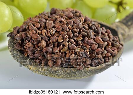 Grape seeds (Vitis vinifera subsp. vinifera) View Large Photo Image Stock Image - Grape seeds (Vitis vinifera subsp. vinifera). Fotosearch