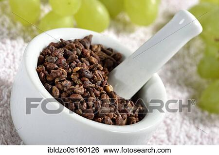Grape seeds (Vitis vinifera subsp. vinifera) View Large Photo Image Stock Photograph - Grape seeds (Vitis vinifera subsp. vinifera). Fotosearch