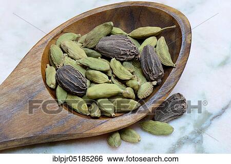 Green and ( Amomum subulatum) in wooden spoon View Large Photo Image Stock Photograph - Green and ( Amomum subulatum) in wooden spoon. Fotosearch