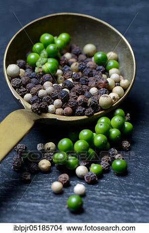 Green, black and white pepper in brass ladle, pepper syrup, pepper panicles, peppercorns View Large Photo Image Picture - Green, black and white pepper in brass ladle, pepper syrup, pepper panicles, peppercorns. Fotosearch