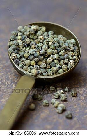 Green malabar pepper in brass ladle View Large Photo Image Stock Photography - Green malabar pepper in brass ladle. Fotosearch