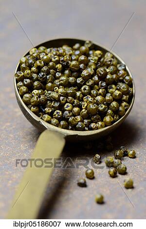 Stock Photo - Green pepper in brass ladle, Ambolikapiky plantation, Madagascar, Africa. Fotosearch