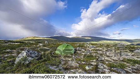 Stock Image - Green tent, wild camping, tundra, barren landscape, Dovrefjell National Park, Oppdal, Norway, Europe. Fotosearch