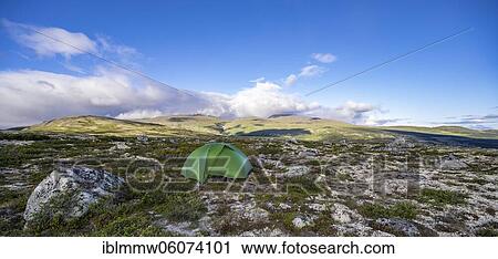 Green tent, wild camping, tundra, barren landscape, Dovrefjell National Park, Oppdal, Norway, Europe View Large Photo Image Stock Image - Green tent, wild camping, tundra, barren landscape, Dovrefjell National Park, Oppdal, Norway, Europe. Fotosearch