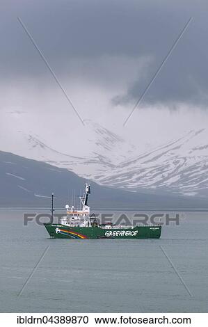 Greenpeace ship Arctic Sunrise in front of Longyearbyen, Svalbard, Spitsbergen, Norway, Europe View Large Photo Image Stock Image - Greenpeace ship Arctic Sunrise in front of Longyearbyen, Svalbard, Spitsbergen, Norway, Europe. Fotosearch
