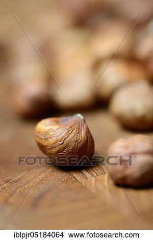 Hazelnuts (Corylus avellana) View Large Photo Image Picture - Hazelnuts (Corylus avellana). Fotosearch