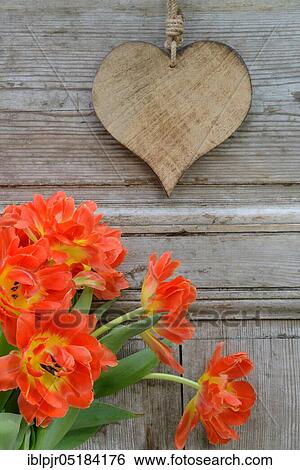 Stock Photograph - Heart of wood, on wooden wall. Fotosearch
