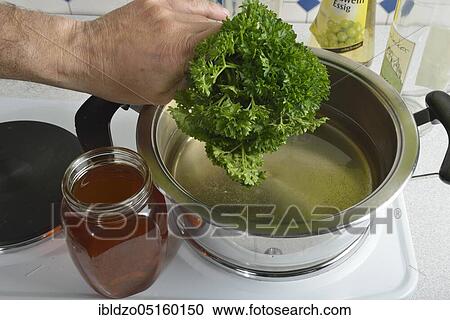 Stock Image - Heart wine, parsley wine (Petroselinum crispum), wine vinegar, white wine, honey, Hildegard von Bingen. Fotosearch