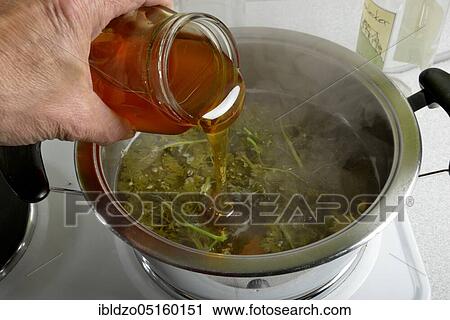 Heart wine, parsley wine (Petroselinum crispum), wine vinegar, white wine, honey, Hildegard von Bingen View Large Photo Image Stock Image - Heart wine, parsley wine (Petroselinum crispum), wine vinegar, white wine, honey, Hildegard von Bingen. Fotosearch