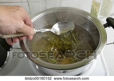 Heart wine, parsley wine (Petroselinum crispum), wine vinegar, white wine, honey, Hildegard von Bingen View Large Photo Image Stock Image - Heart wine, parsley wine (Petroselinum crispum), wine vinegar, white wine, honey, Hildegard von Bingen. Fotosearch