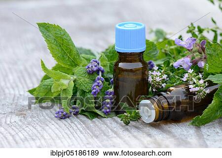 Herbs and herbal oil, herbal oil, herbal tincture View Large Photo Image Stock Photo - Herbs and herbal oil, herbal oil, herbal tincture. Fotosearch