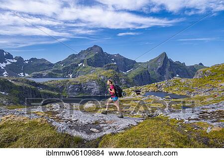 Hiking on hiking trail, lake Tennesvatnet and Krokvatnet, hiking to Munkebu cabin, mountains, near Sørvågen, Moskenesøya, Lofoten, Nordland View Large Photo Image Picture - Hiking on hiking trail, lake Tennesvatnet and Krokvatnet, hiking to Munkebu cabin, mountains, near Sørvågen, Moskenesøya, Lofoten, Nordland. Fotosearch