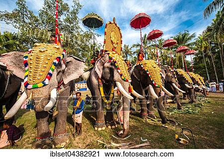 Hindu temple festival with many elephants, Thrissur, Kerala, South India, India, Asia View Large Photo Image Stock Image - Hindu temple festival with many elephants, Thrissur, Kerala, South India, India, Asia. Fotosearch