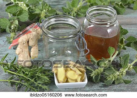 Horehound honey with ginger, Hyssop leaf (Hyssophus officinalis) (Zingiberis rhizome), White Horehound, Common Horehound (Marrubium vulgare), Helperwort, White Dorant, Andorn honey View Large Photo Image Stock Photograph - Horehound honey with ginger, Hyssop leaf (Hyssophus officinalis) (Zingiberis rhizome), White Horehound, Common Horehound (Marrubium vulgare), Helperwort, White Dorant, Andorn honey. Fotosearch