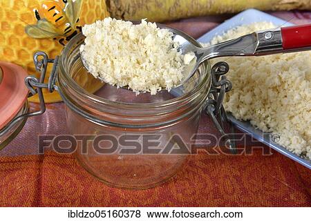 Horseradish (Cochlearia armoracia), horseradish View Large Photo Image Stock Photo - Horseradish (Cochlearia armoracia), horseradish. Fotosearch