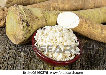 Horseradish (Cochlearia armoracia), horseradish View Large Photo Image Stock Photograph - Horseradish (Cochlearia armoracia), horseradish. Fotosearch