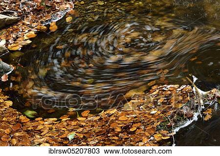 Stock Image - Ilse im Harz, Saxony-Anhalt, Germany, Europe. Fotosearch