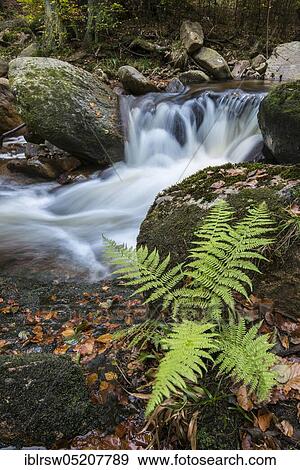 Ilsetal, Harz, Saxony-Anhalt, Germany, Europe View Large Photo Image Stock Photo - Ilsetal, Harz, Saxony-Anhalt, Germany, Europe. Fotosearch
