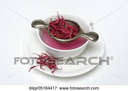 Stock Photo - Indian nettle, Indian nettle tea, tea cup and flowers, golden melissa tea ( Monarda hybrid). Fotosearch