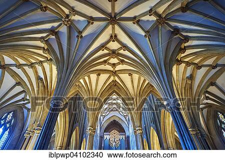 Stock Image - Interior, vaulted roof of the Chapter House, Wells Cathedral, Wells, Somerset, England. Fotosearch