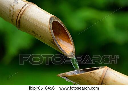 Stock Image - Japanese bamboo fountain, bamboo cane, cane. Fotosearch