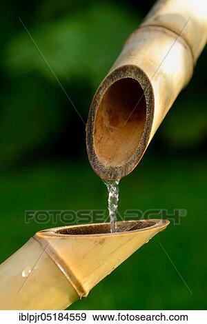 Japanese bamboo fountain, bamboo cane, cane View Large Photo Image Stock Photo - Japanese bamboo fountain, bamboo cane, cane. Fotosearch
