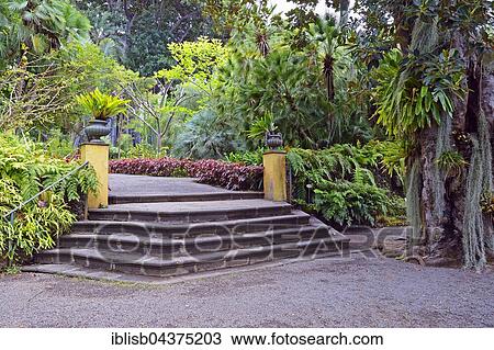 Stock Image - Jardín de aclimatación de la Orotava, Botanico, Botanical Garden, Tenerife, Canary Islands, Spain, Europe. Fotosearch