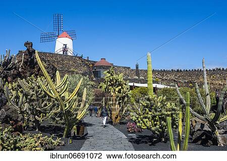 Jardín de Cactus, cactus garden Cesar Manrique, Lanzarote, Canary islands View Large Photo Image Stock Image - Jardín de Cactus, cactus garden Cesar Manrique, Lanzarote, Canary islands. Fotosearch