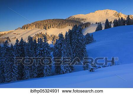 Stock Image - Jaunpass, Fribourg Prealps, Switzerland, Europe. Fotosearch