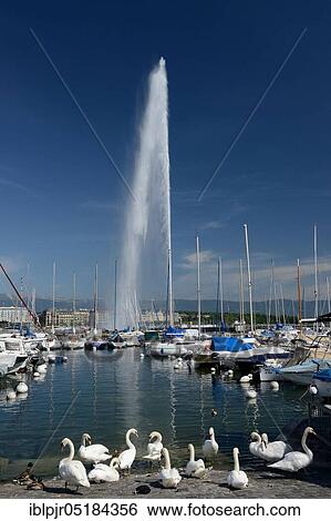 Jet d'eau, Geneva, Canton of Geneva, Switzerland, Europe View Large Photo Image Stock Photograph - Jet d'eau, Geneva, Canton of Geneva, Switzerland, Europe. Fotosearch