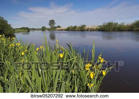 Stock Image - Jümme, Oldenburger Münsterland, Lower Saxony, Germany, Europe. Fotosearch