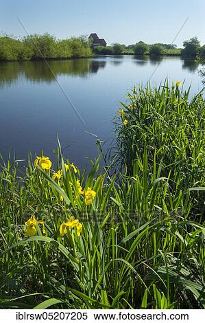 Stock Photography - Jümme, Oldenburger Münsterland, Lower Saxony, Germany, Europe. Fotosearch