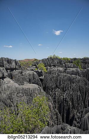 Karst landscape, Tsingy du Bemaraha National Park, Unesco World Heritage Site, Mahajanga, Madagascar, Africa View Large Photo Image Picture - Karst landscape, Tsingy du Bemaraha National Park, Unesco World Heritage Site, Mahajanga, Madagascar, Africa. Fotosearch