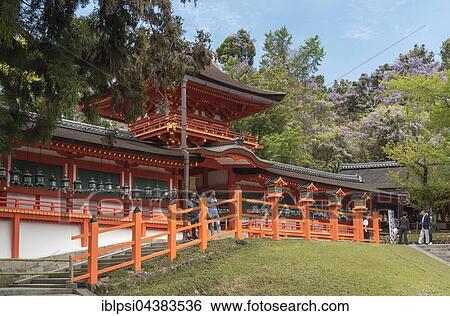 Kasuga Taisha Shrine, Nara, Japan, Asia View Large Photo Image Stock Photograph - Kasuga Taisha Shrine, Nara, Japan, Asia. Fotosearch