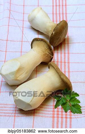 Stock Image - King trumpet mushroome (Pleurotus eryngii) sliced. Fotosearch