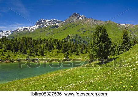 Stock Photograph - Lai Blos, Alp Flix, Piz Arblatsch, Piz Forbesch, Graubuenden, Switzerland, Europe. Fotosearch