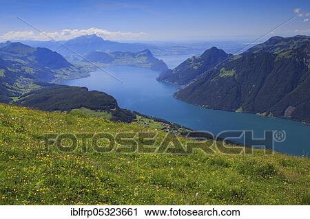 Lake Lucerne, view from Fronalpstock, Central Switzerland, Switzerland, Europe View Large Photo Image Stock Image - Lake Lucerne, view from Fronalpstock, Central Switzerland, Switzerland, Europe. Fotosearch