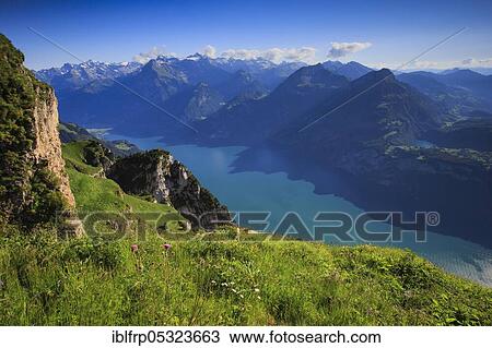 Stock Image - Lake Lucerne, view from Fronalpstock, Central Switzerland, Switzerland, Europe. Fotosearch