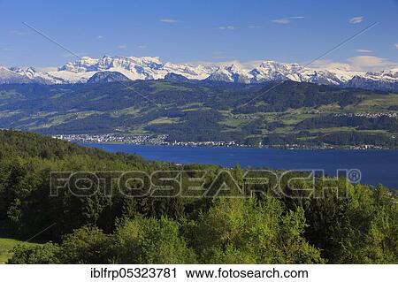 Lake Zurich and Glärnisch, view from Pfannenstiel, Zurich Oberland, Switzerland, Europe View Large Photo Image Stock Image - Lake Zurich and Glärnisch, view from Pfannenstiel, Zurich Oberland, Switzerland, Europe. Fotosearch
