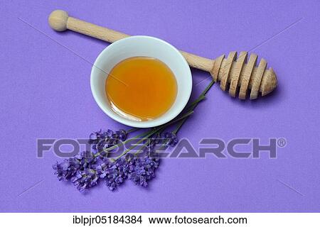 Picture - Lavender honey and lavender flowers, lavender honey( Lavandula spec. ), bee honey. Fotosearch