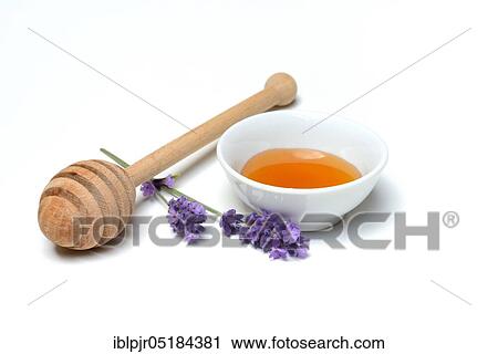 Lavender honey and lavender flowers, lavender honey( Lavandula spec. ), bee honey View Large Photo Image Stock Image - Lavender honey and lavender flowers, lavender honey( Lavandula spec. ), bee honey. Fotosearch