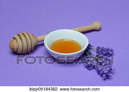 Lavender honey and lavender flowers, lavender honey( Lavandula spec. ), bee honey View Large Photo Image Stock Image - Lavender honey and lavender flowers, lavender honey( Lavandula spec. ), bee honey. Fotosearch