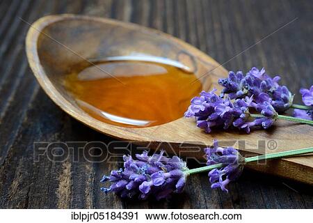 Lavender honey and lavender flowers, lavender honey( Lavandula spec. ), bee honey View Large Photo Image Stock Image - Lavender honey and lavender flowers, lavender honey( Lavandula spec. ), bee honey. Fotosearch