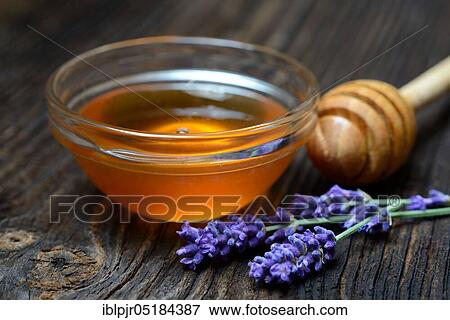 Stock Photo - Lavender honey and lavender flowers, lavender honey( Lavandula spec. ), bee honey. Fotosearch