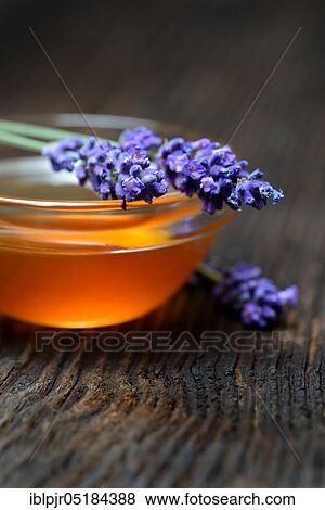 Lavender honey and lavender flowers, lavender honey( Lavandula spec. ), bee honey View Large Photo Image Stock Photo - Lavender honey and lavender flowers, lavender honey( Lavandula spec. ), bee honey. Fotosearch